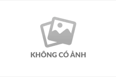 Nước Đá Phát Đạt – Địa Chỉ Cung Cấp Nước Đá Uy Tín, Giá Hợp Lý